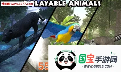 ���ֶ���ģ����2026���°汾v1.2 �ֻ����ͼ3