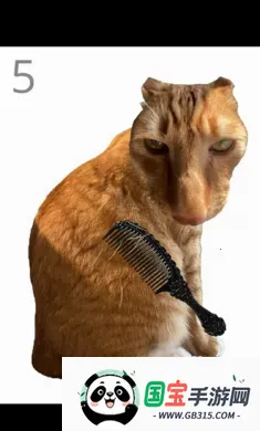 ��è��ëv1.0 �ֻ����ͼ2