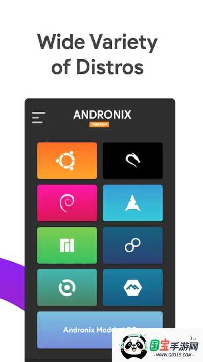 Andronix�����ֻ����ͼ2