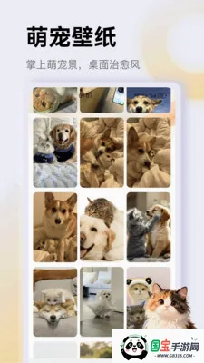 治愈猫咪app2026官方最新版本v1.4 免费版截图0