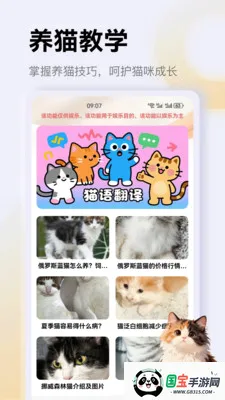 治愈猫咪app2026官方最新版本v1.4 免费版截图1