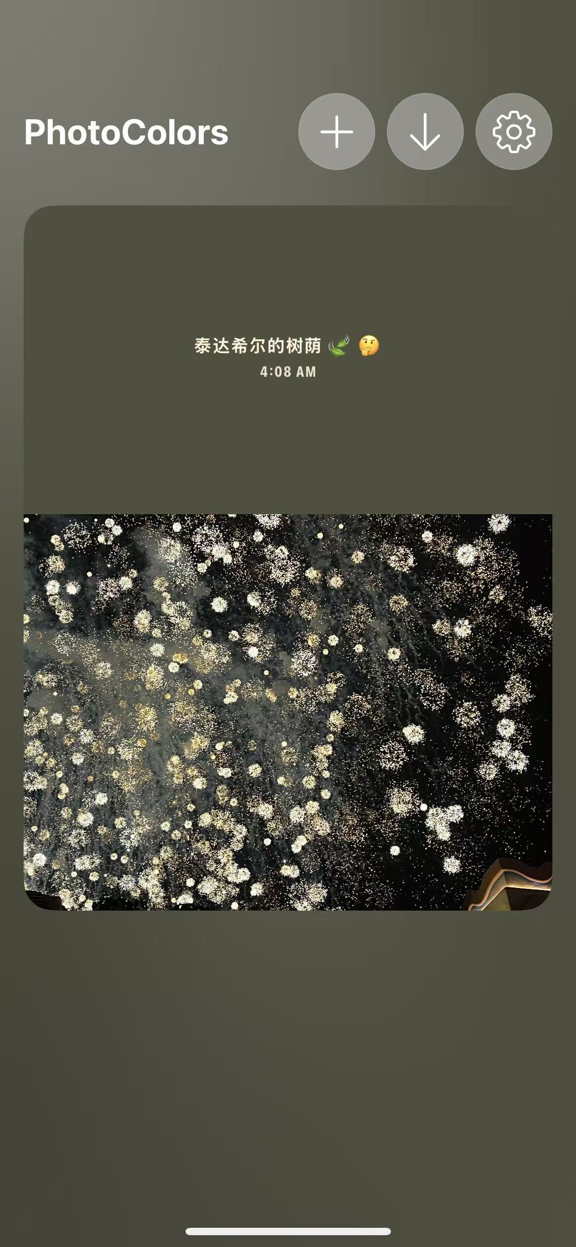 Photo调色盘最新手机版 Photo调色盘最新手机版
