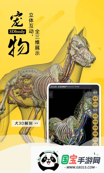 3dbody����app�������