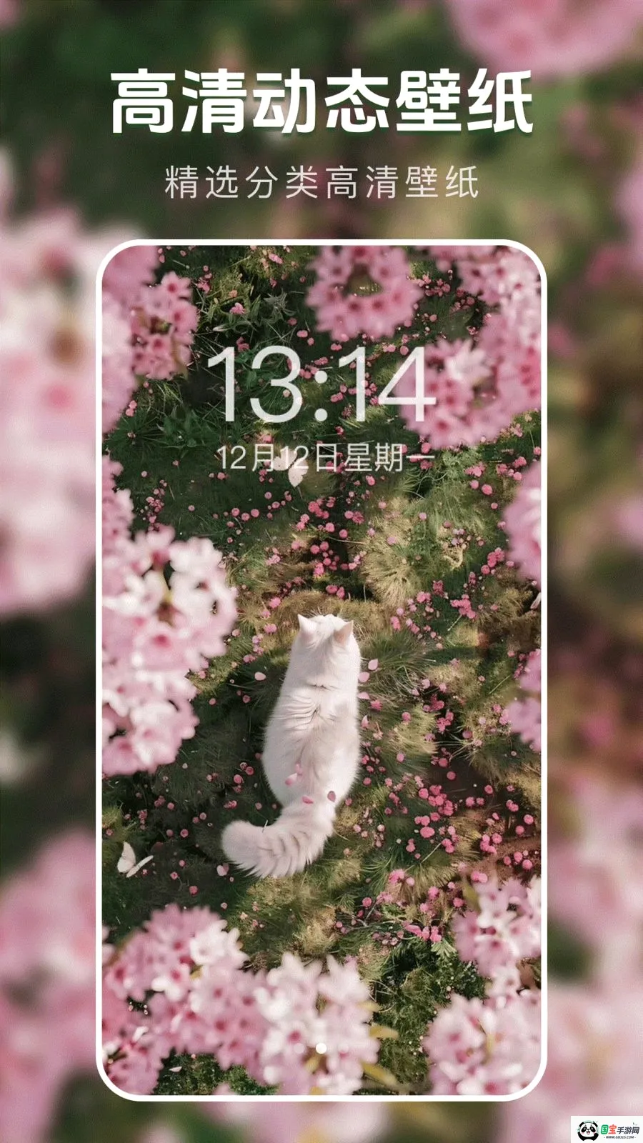 动态主题壁纸菌v1.0.0 安卓版截图1