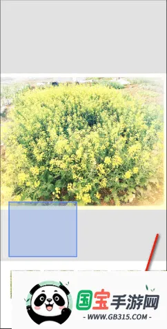 BetterSeed�����ֻ���