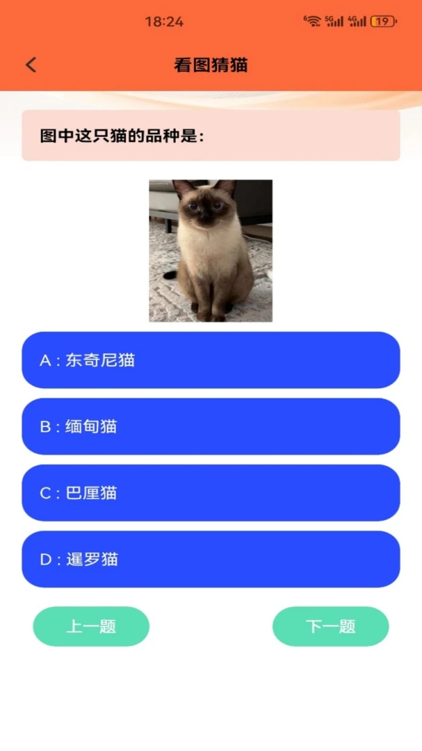 暖暖猫2026官方最新版本v5.3 安卓版截图0