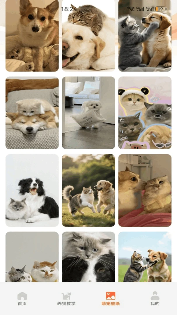 暖暖猫2026官方最新版本v5.3 安卓版截图1