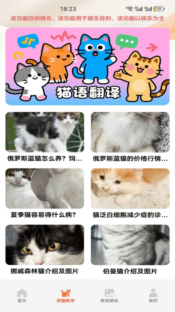 暖暖猫2026官方最新版本v5.3 安卓版截图2