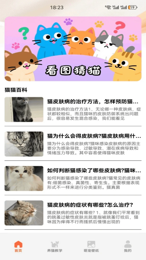 暖暖猫2026官方最新版本v5.3 安卓版截图3