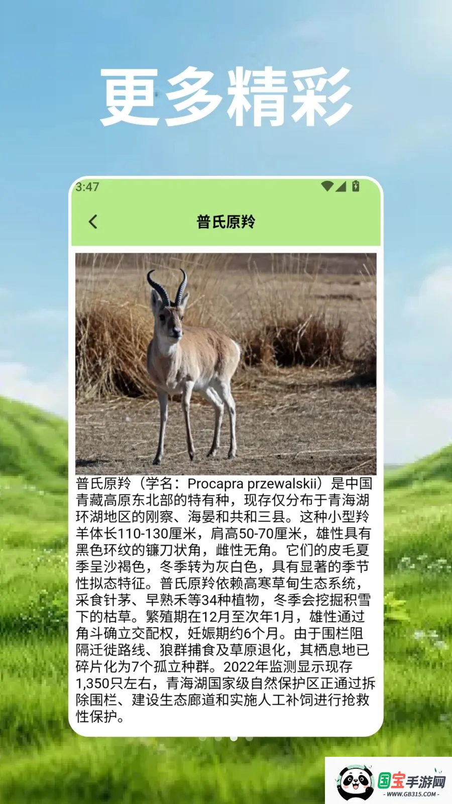 羊群的科学管2026官方最新版本v2.3 安卓版截图2