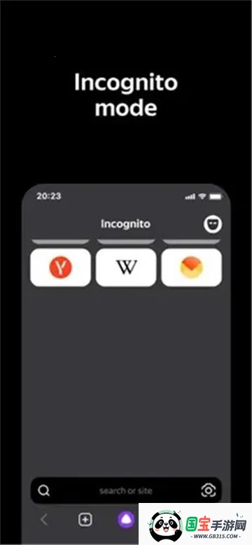 yandex����˹�����ͼ1