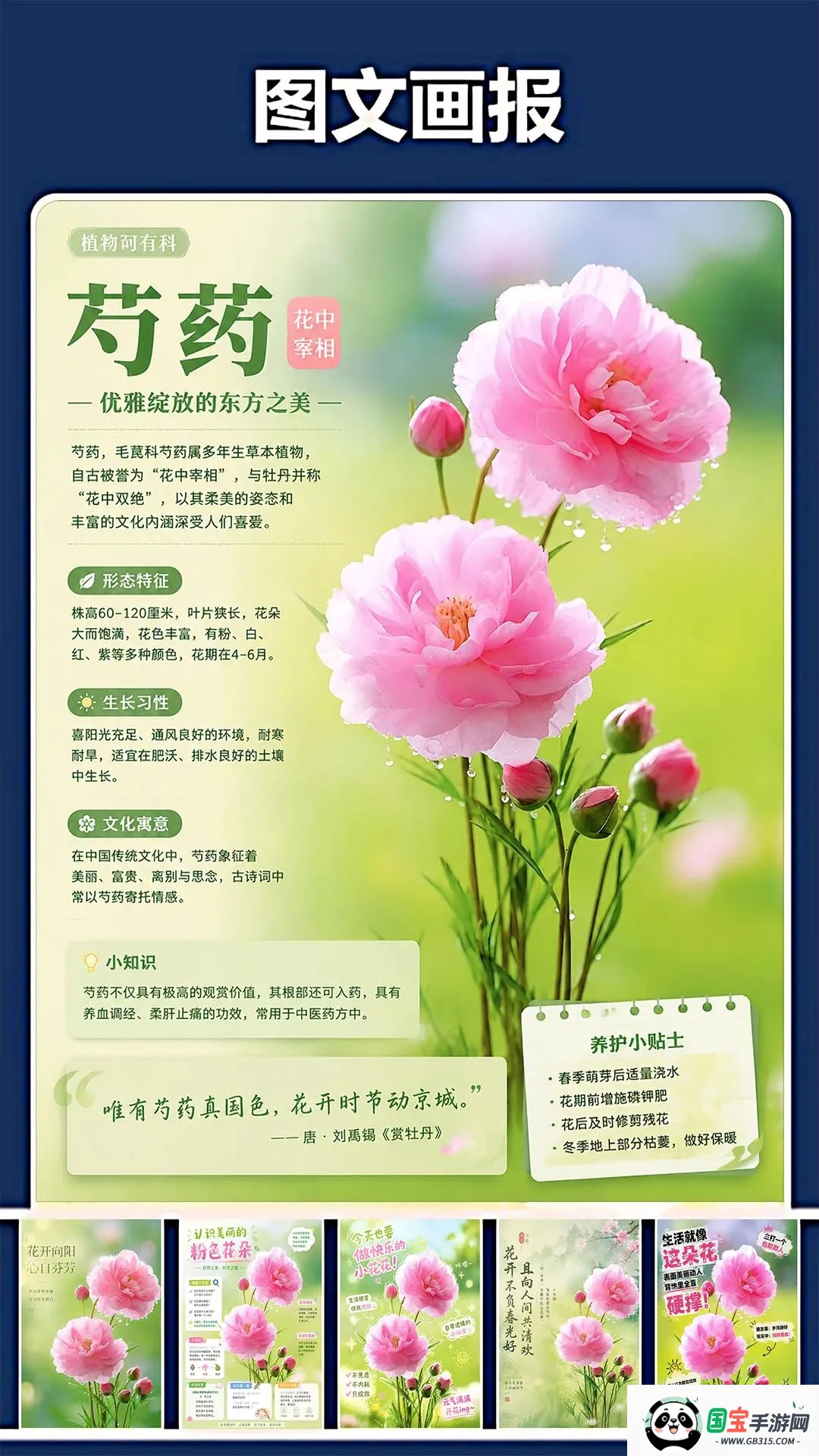 �޸�Pͼ��2026�ٷ����°汾v1.0.0 ��׿���ͼ3