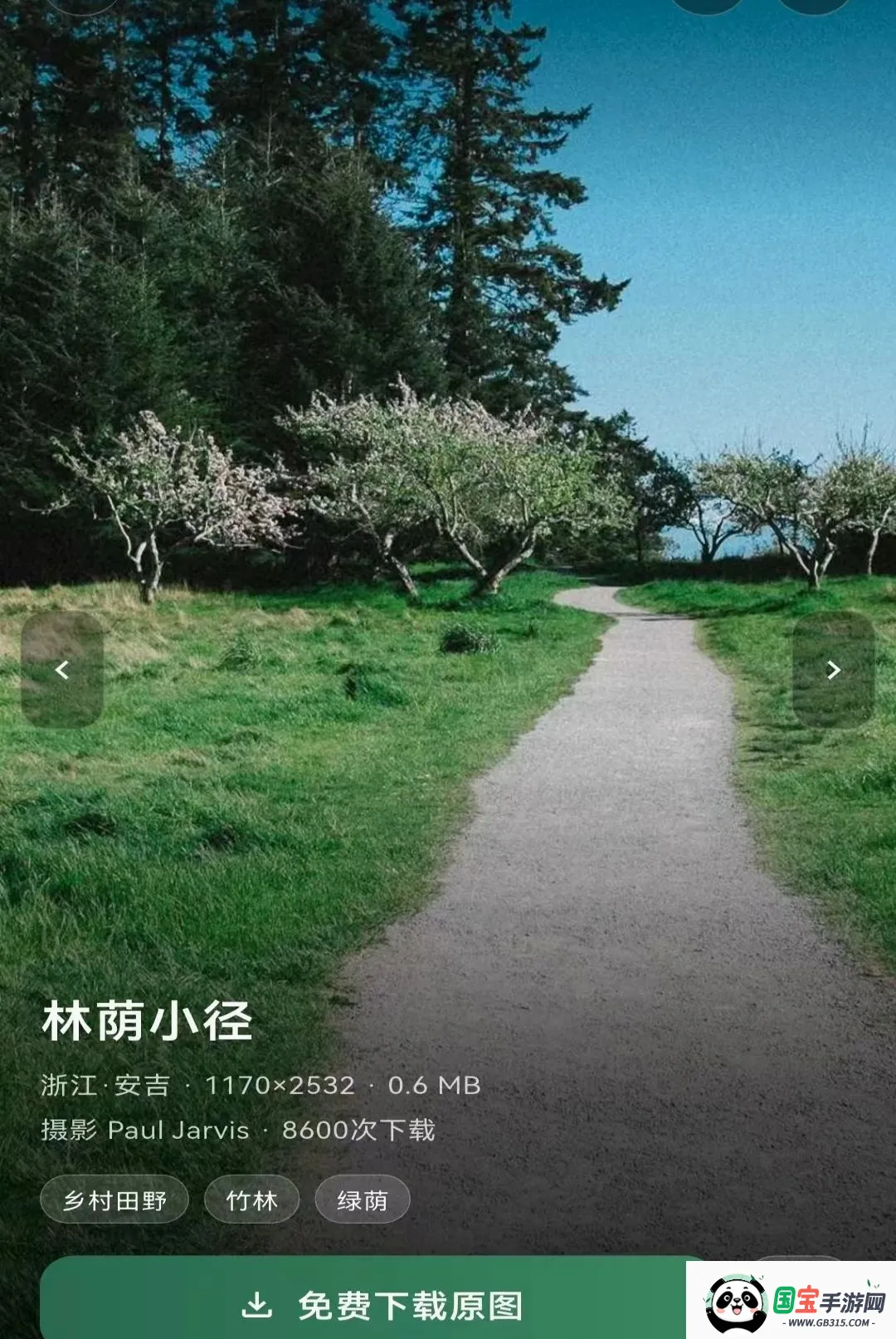 乡选联盟v1.3.0 手机版截图1