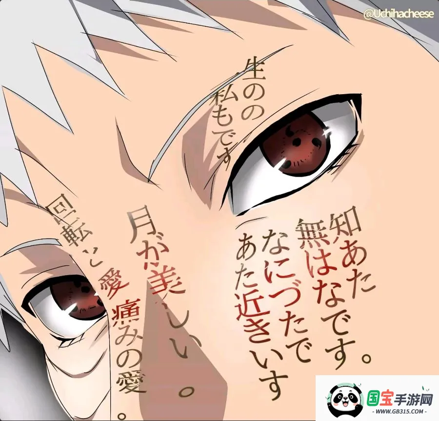 �޹�����2026���°汾